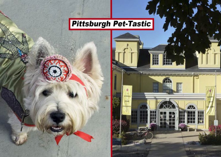 Pittsburgh Pet-Tastic split image